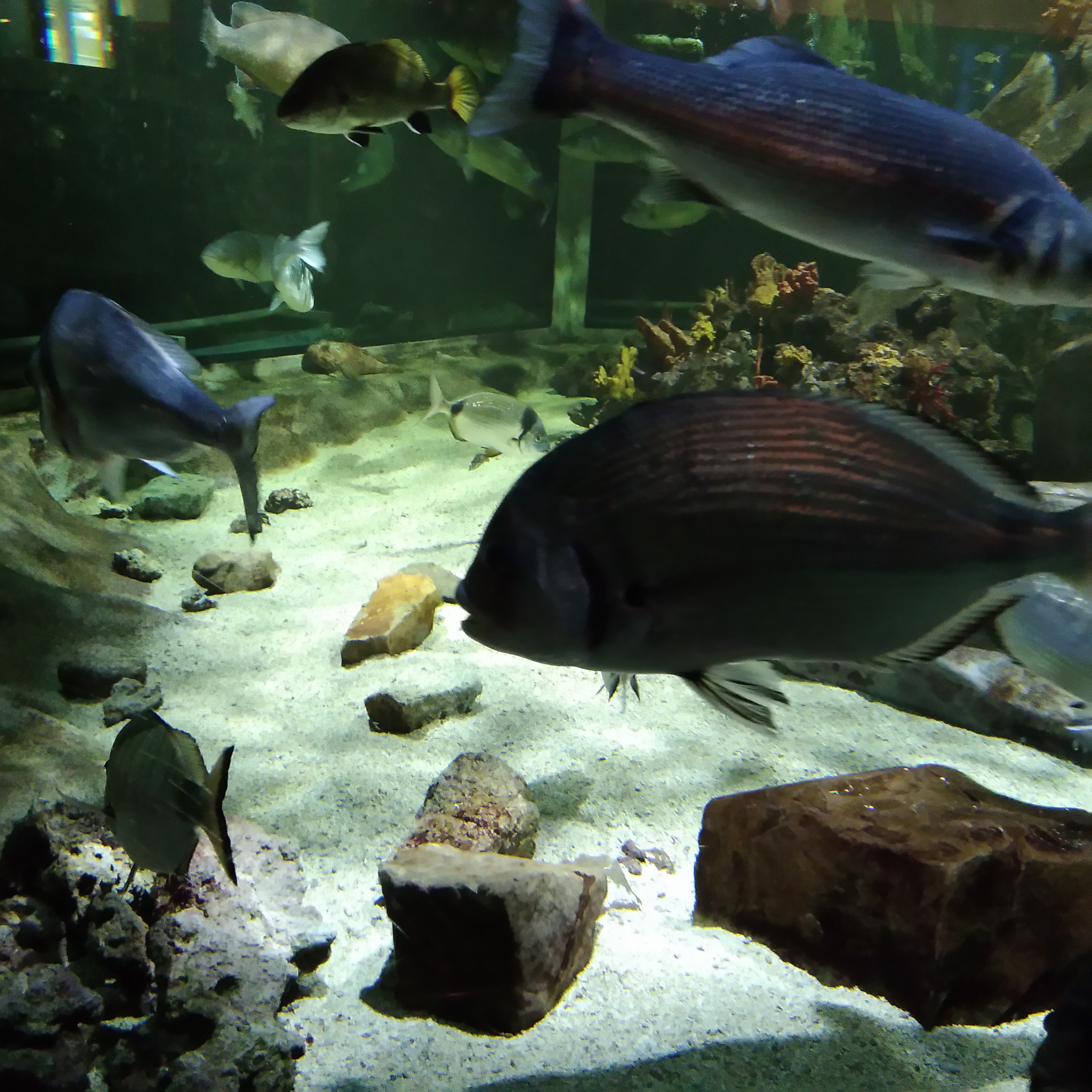 Photo n° 5 de l'avis de Carda.o fait le 10/12/2023 à 10:19