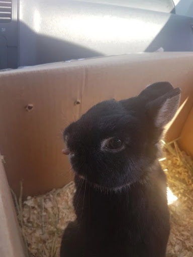 Pet Store «Suncoast Pets», reviews and photos, 7117 US-98, Panama City Beach, FL 32407, USA