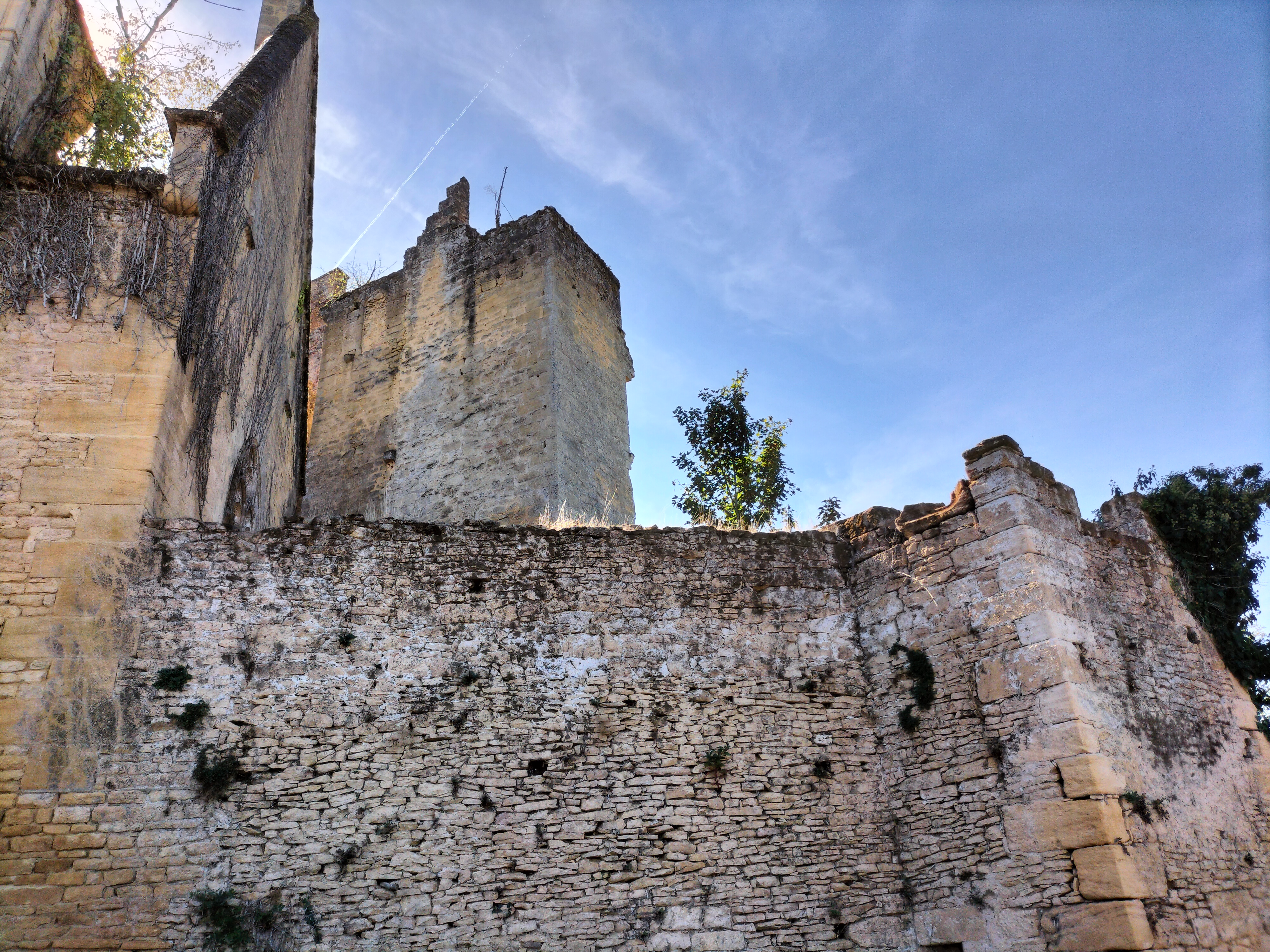 Photo n° 35 de l'avis de Gilles.a fait le 18/09/2022 à 14:47