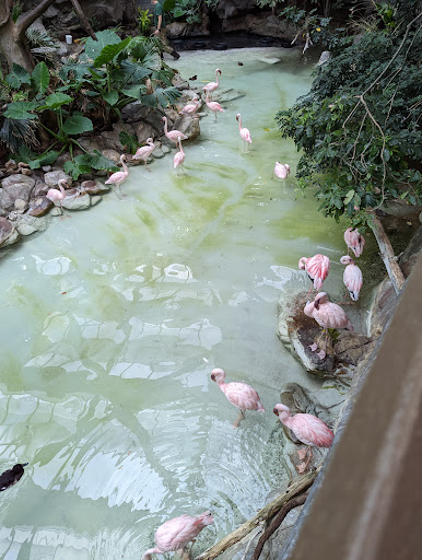 Zoo «Minnesota Zoo», reviews and photos, 13000 Zoo Blvd, Apple Valley, MN 55124, USA