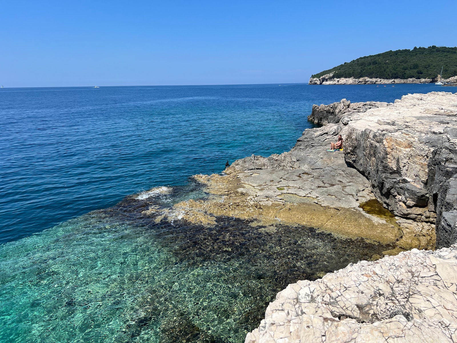 Photo de Beach AC Stoja situé dans une zone naturelle