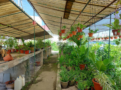 Kg Pandan Al Aman Plant Nursery and Pots