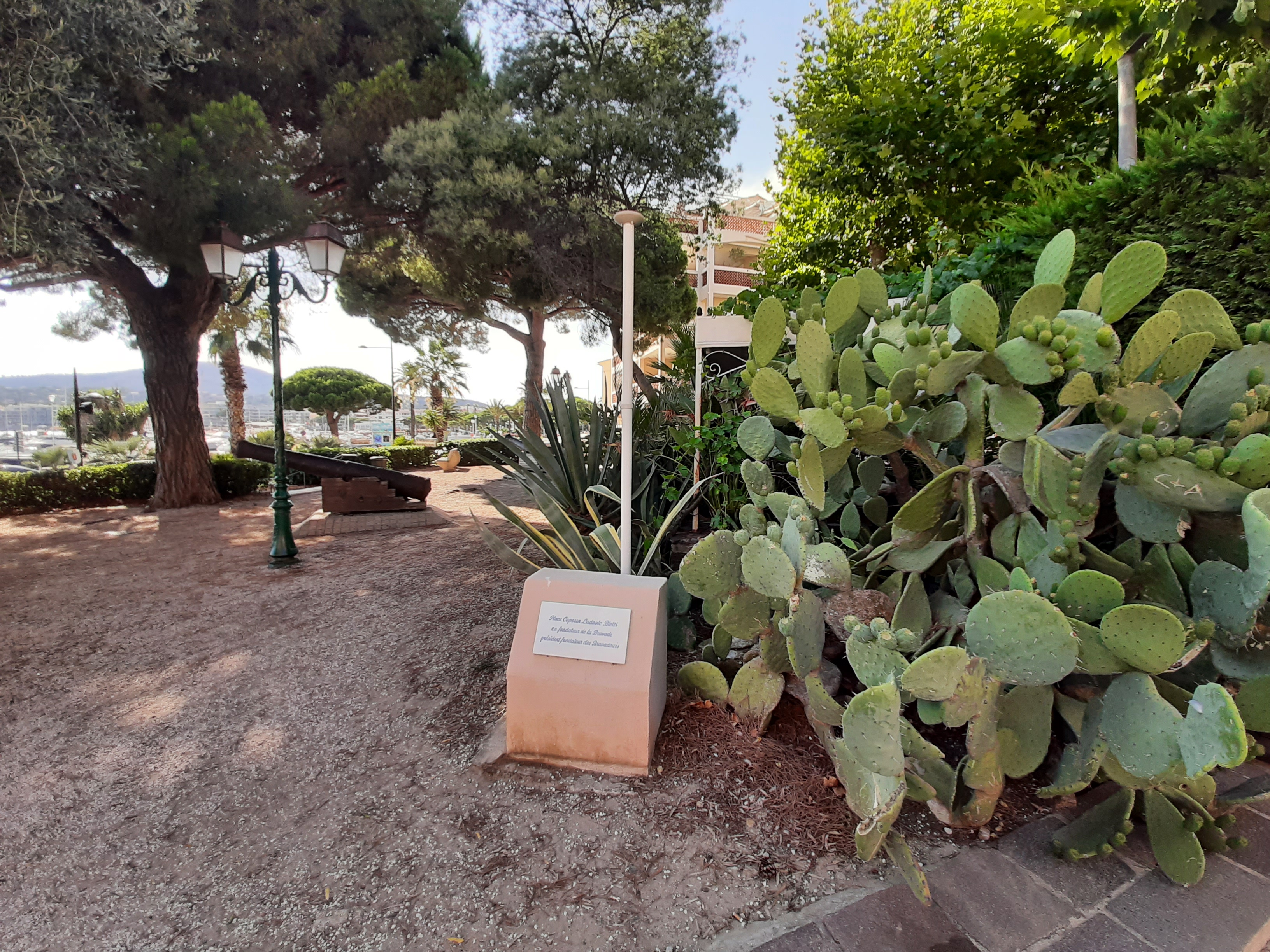 Photo n° 12 de l'avis de Patrice.l fait le 18/07/2022 à 18:48