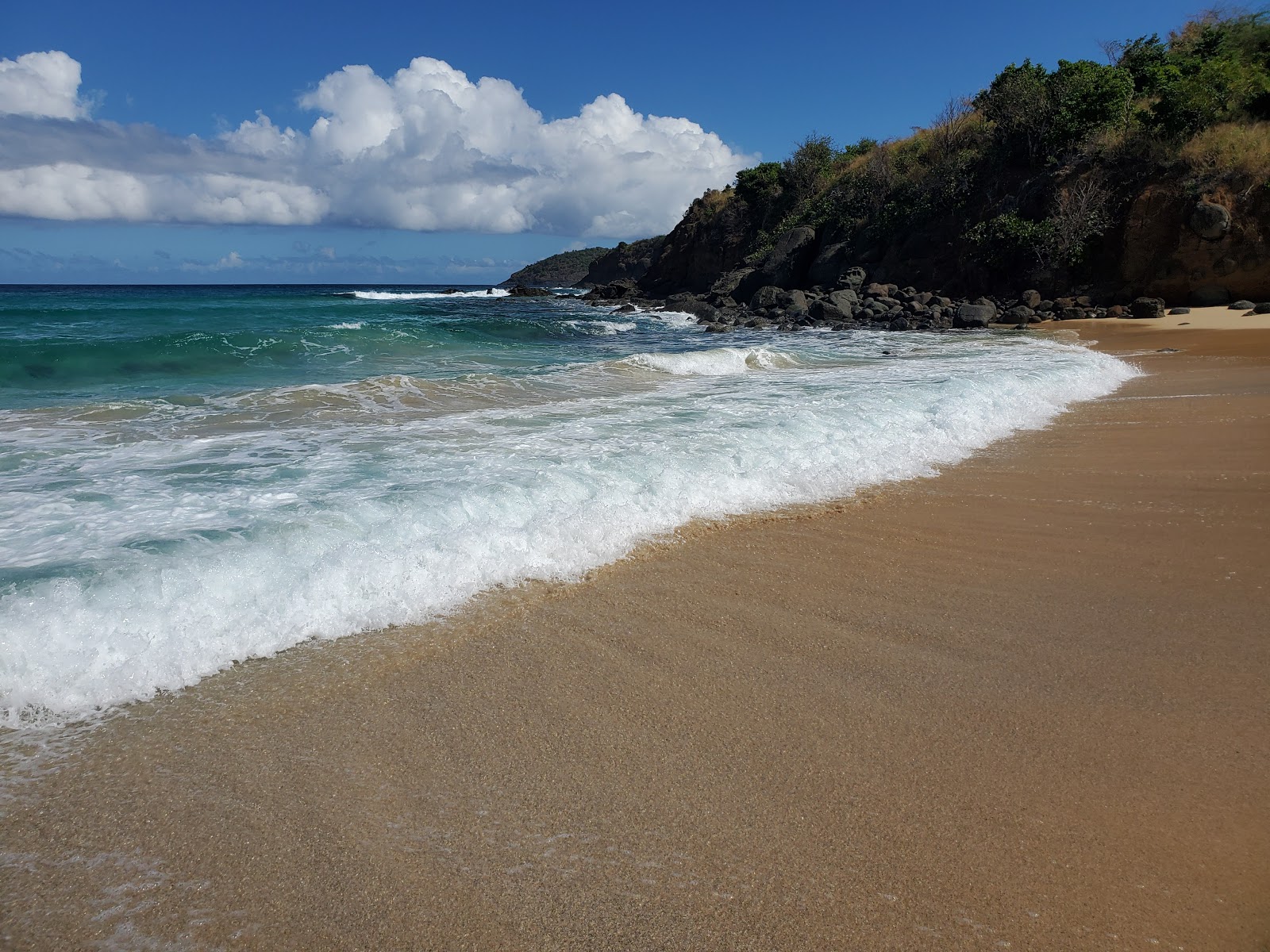 Playa Brava'in fotoğrafı vahşi alan