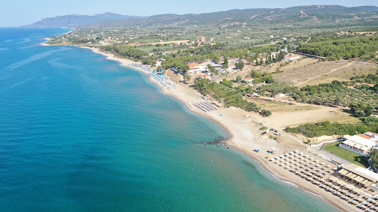 Yolo's beach II