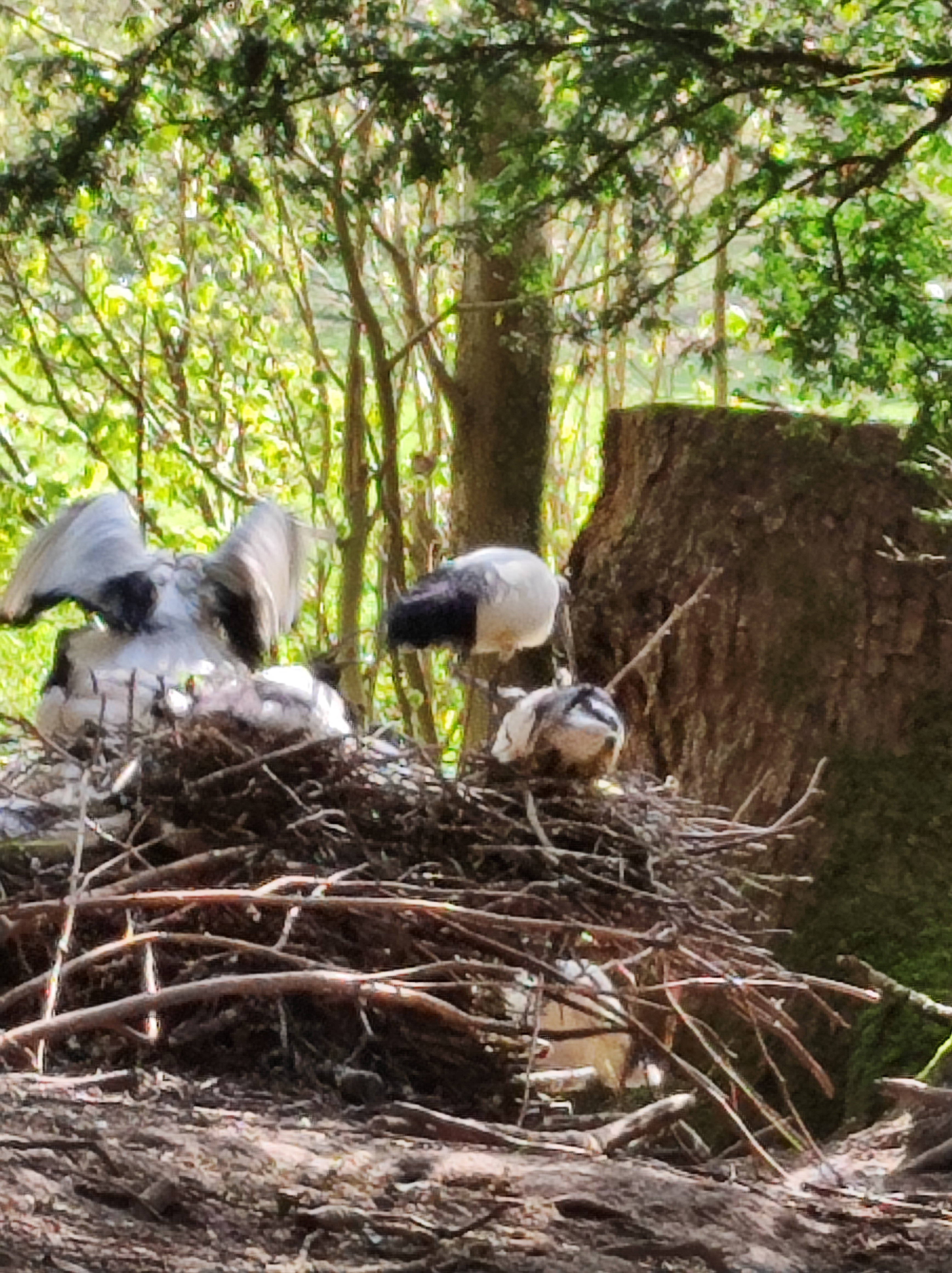 Photo n° 7 de l'avis de Yvonne.a fait le 23/04/2023 à 13:30