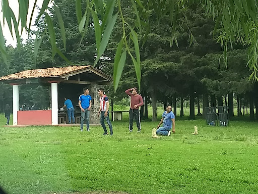 Parques para hacer picnic en Toluca de Lerdo