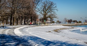 Chess Pavilion - photo 34