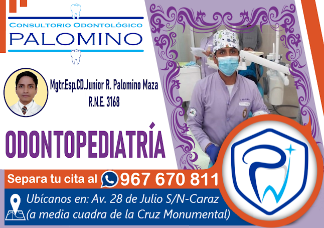 Consultorio Odontólogico Palomino - Dentista