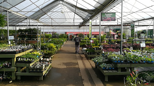 Garden Center «Pike Nurseries», reviews and photos, 615 W Crossville Rd, Roswell, GA 30075, USA