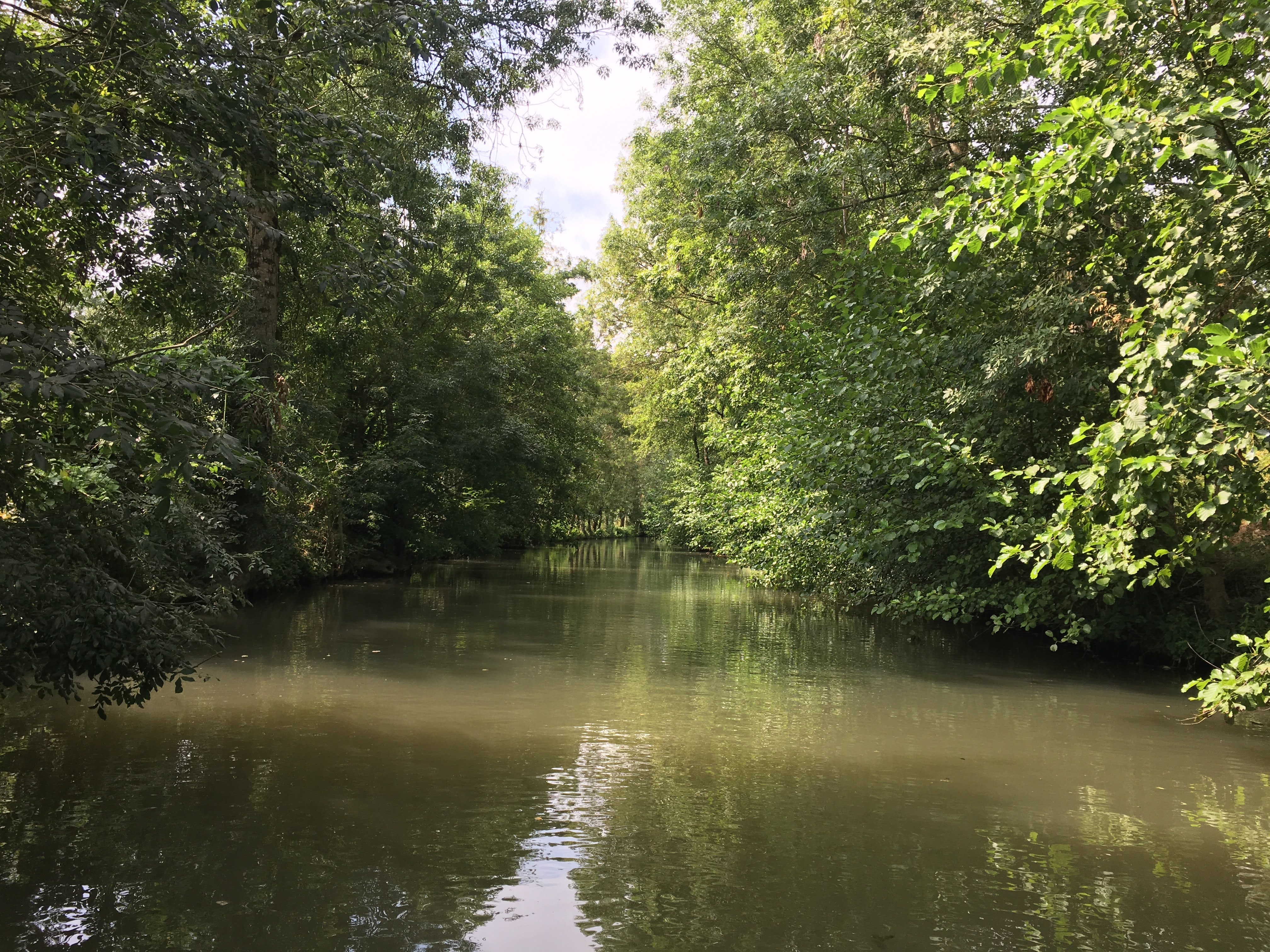 Photo n° 3 de l'avis de Nicolas.o fait le 17/08/2020 à 12:54