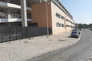 Faculty of Veterinary Medicine of the University of Lisbon image