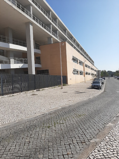 Faculdade de Medicina Veterinária da Universidade de Lisboa (FMV)