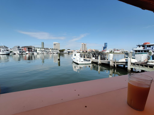 Aquarium «Atlantic City Aquarium», reviews and photos, 800 N New Hampshire Ave, Atlantic City, NJ 08401, USA