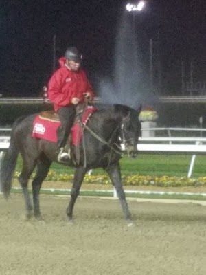 Indiana Grand Racing & Casino - photo 73