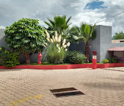 Auto Hotel Aeropuerto photo