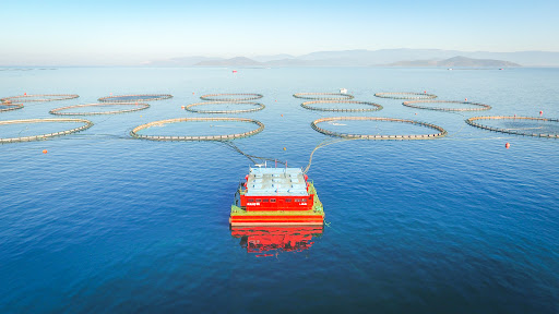 Muğla Kültür Balıkçıları Derneği