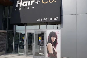 Hair+Co image
