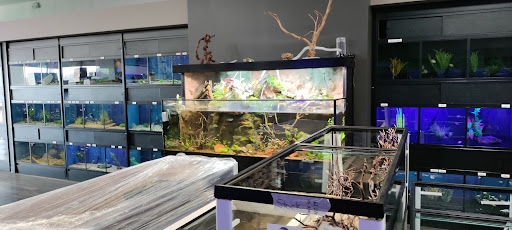 Tropical Fish Store «Aquarium Artisans», reviews and photos, 8005 Plainfield Rd #11, Cincinnati, OH 45236, USA