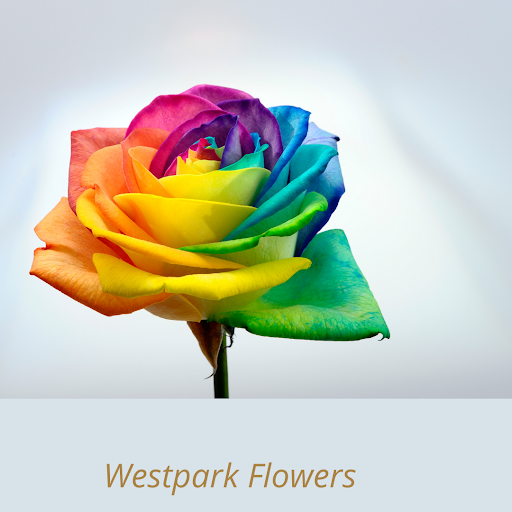 Florist «Floral Concepts», reviews and photos, 11261 Richmond Ave G109, Houston, TX 77082, USA