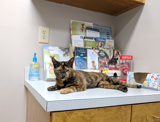 Oakbrook Veterinary Clinic image