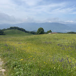 Photo n°1 de l'avis de Dario.a fait le 22/11/2022 à 10:13 sur le  Punto Ristoro Il Capannone - Via degli Dei à Firenzuola