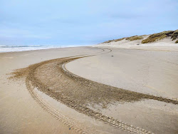 Foto von South Jetty Beach - beliebter Ort unter Entspannungskennern