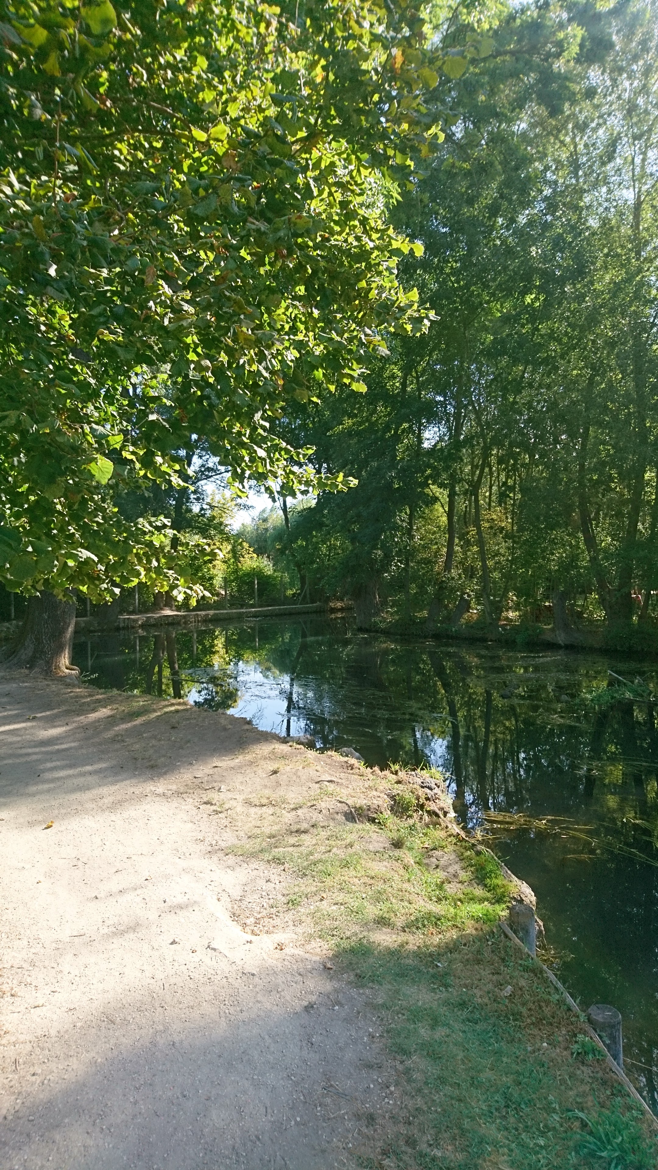 Photo n° 5 de l'avis de Fred.e fait le 02/09/2019 à 10:07