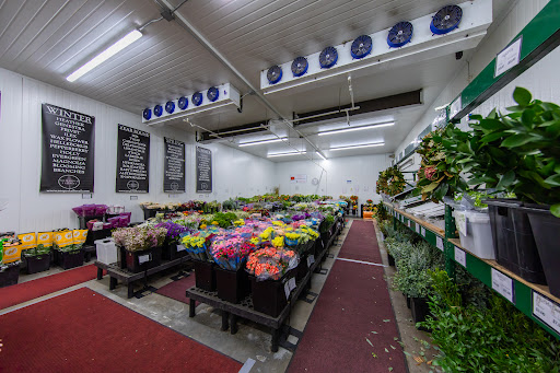 Florist «Sequoia Floral International», reviews and photos, 3245 Santa Rosa Ave, Santa Rosa, CA 95407, USA