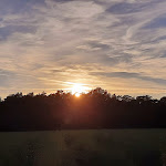 Photo n°2 de l'avis de T... fait le 09/10/2022 à 17:37 sur le  Das kleine Landhotel à Dorsten