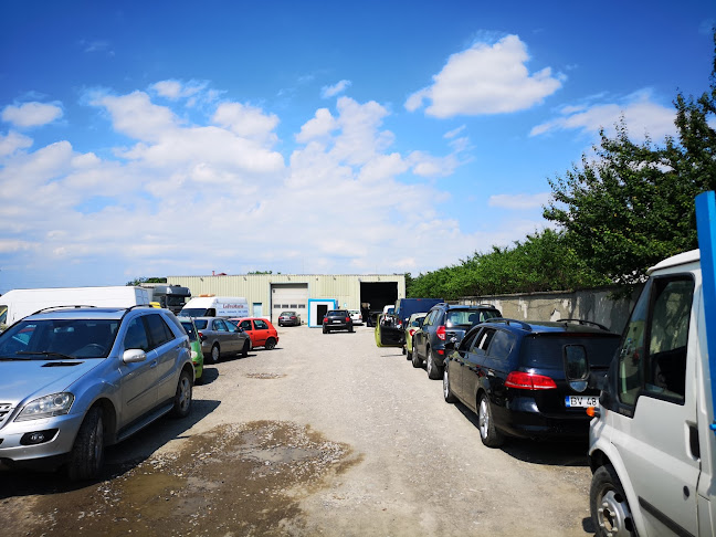 Opinii despre SC Codreanu Automotors în <nil> - Service auto