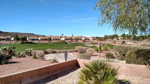 Golf Course «Desert Willow Golf Course», reviews and photos, 2020 W Horizon Ridge Pkwy, Henderson, NV 89012, USA