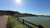 細口池