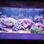 Photo n° 3 de l'avis de Nathalie.L fait le 17/08/2021 à 22:22 pour Aquarium d'Amnéville à Amnéville