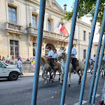 Photo n° 2 de l'avis de Teddy.U fait le 06/08/2022 à 08:05 pour La Carola à Uzès