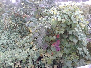 Riverview Park - photo 75