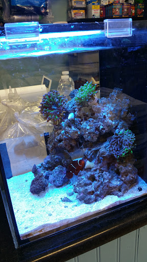 Pet Supply Store «Sea Level Aquarium», reviews and photos, 28 US-46, Pine Brook, NJ 07058, USA
