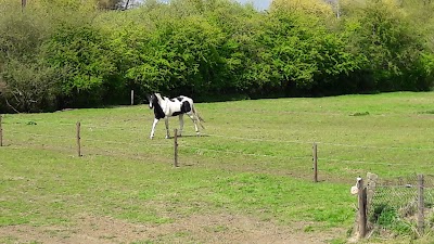 Photos of De Hoven