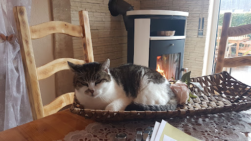 Dahay-Layna Mitna Tierarzt unter Witzenhausen, 