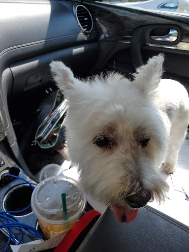 Pet Supply Store «Healthi Paws», reviews and photos, 2912 Calumet Ave, Valparaiso, IN 46383, USA