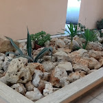 Photo n°5 de l'avis de catia.a fait le 26/08/2016 à 07:19 sur le  Hotel Minerva à Brindisi