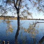 Photo n°1 de l'avis de Denise.a fait le 02/11/2017 à 21:08 sur le  Agriturismo Quietovivere à Lido di Spina