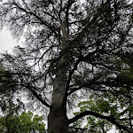 Photo n° 3 de l'avis de DELAUNAY.a fait le 04/06/2021 à 18:07 pour Château de Bonrepos-Riquet 31 590 à Bonrepos-Riquet