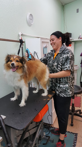 Pet Groomer «ITIG Happy Dog Wash», reviews and photos, 6465 S Chickasaw Trail, Orlando, FL 32829, USA