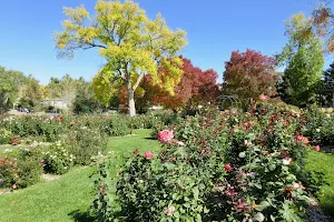 War Memorial Rose Garden image