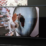 Photo n°10 de l'avis de Ursel-.n fait le 28/02/2023 à 14:40 sur le  Ringhotel Weisser Hirsch Wernigerode à Wernigerode