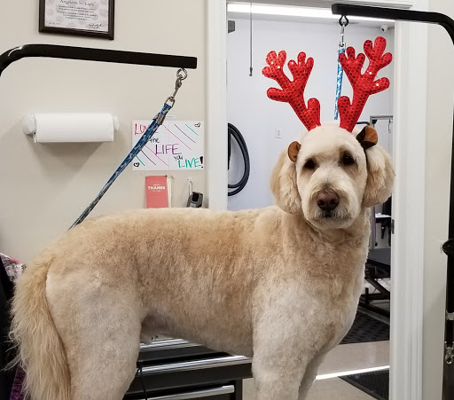 Barkers Pet Salon llc