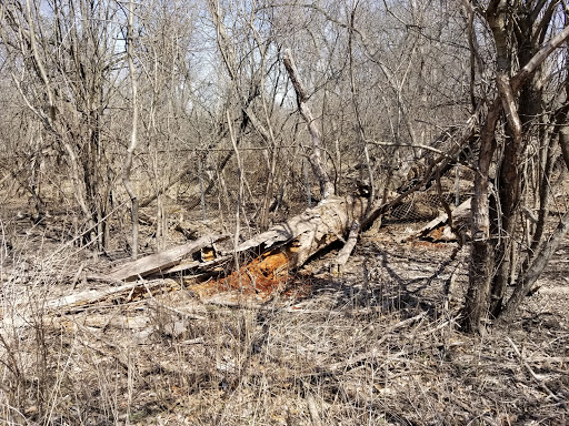 Golf Course «Chick Evans Golf Course», reviews and photos, 6145 Golf Rd, Morton Grove, IL 60053, USA