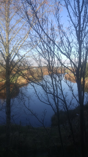 Hotel «Shilo Inn Hotel», reviews and photos, 1609 E Harbor St, Warrenton, OR 97146, USA