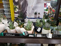 Lowe's Home Improvement - Photo 8 - Car repair in Roseville, CA, Roseville